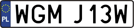WGMJ13W