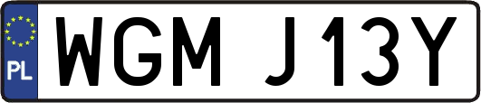 WGMJ13Y