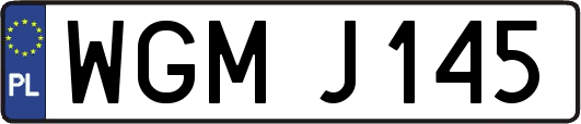 WGMJ145