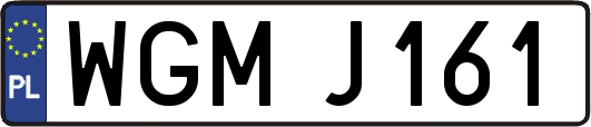 WGMJ161