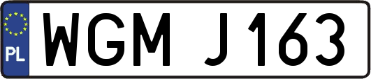 WGMJ163