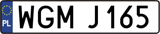 WGMJ165