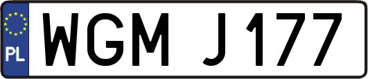 WGMJ177