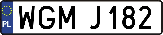 WGMJ182