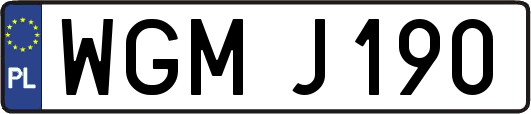 WGMJ190