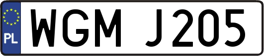 WGMJ205