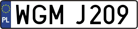 WGMJ209