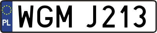 WGMJ213