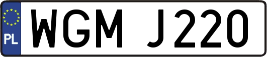 WGMJ220