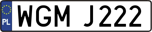WGMJ222