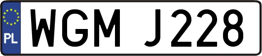 WGMJ228