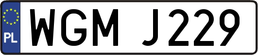 WGMJ229
