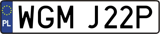 WGMJ22P