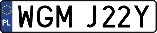 WGMJ22Y