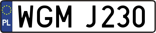 WGMJ230