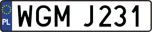 WGMJ231