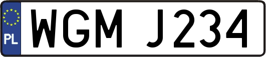 WGMJ234