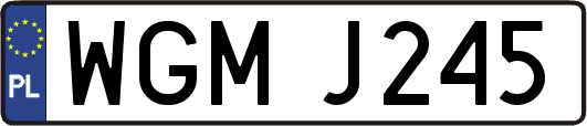 WGMJ245