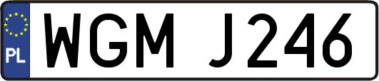 WGMJ246