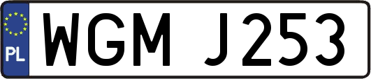 WGMJ253