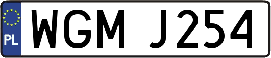 WGMJ254