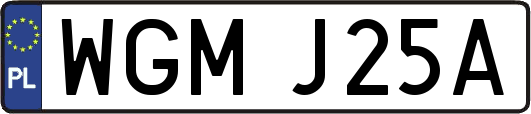 WGMJ25A