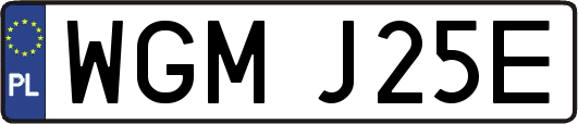 WGMJ25E