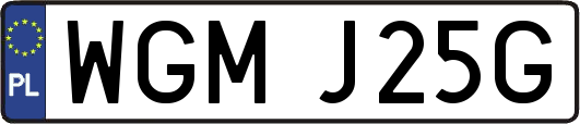 WGMJ25G