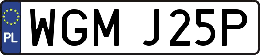 WGMJ25P