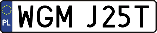 WGMJ25T