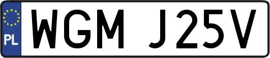 WGMJ25V