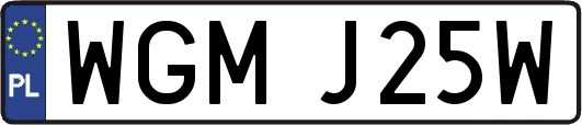 WGMJ25W