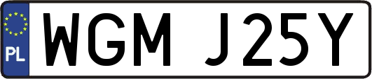 WGMJ25Y