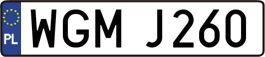WGMJ260