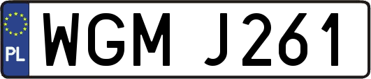 WGMJ261