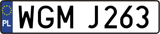 WGMJ263
