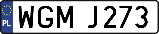 WGMJ273