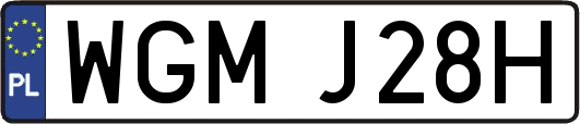 WGMJ28H