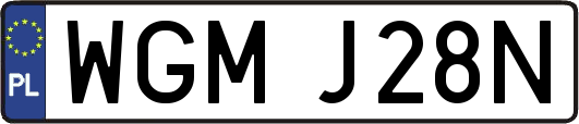 WGMJ28N