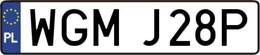 WGMJ28P