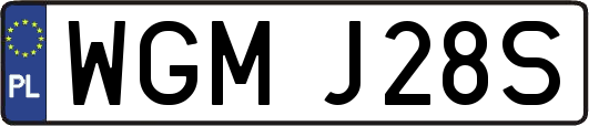 WGMJ28S