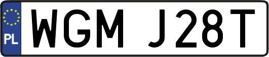 WGMJ28T