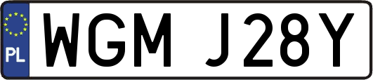 WGMJ28Y