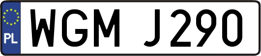 WGMJ290