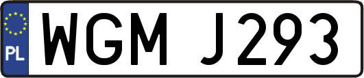 WGMJ293