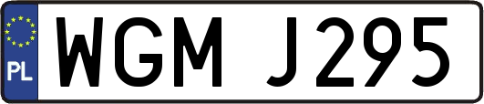 WGMJ295