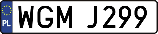 WGMJ299
