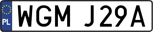 WGMJ29A