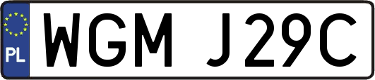 WGMJ29C
