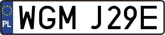 WGMJ29E
